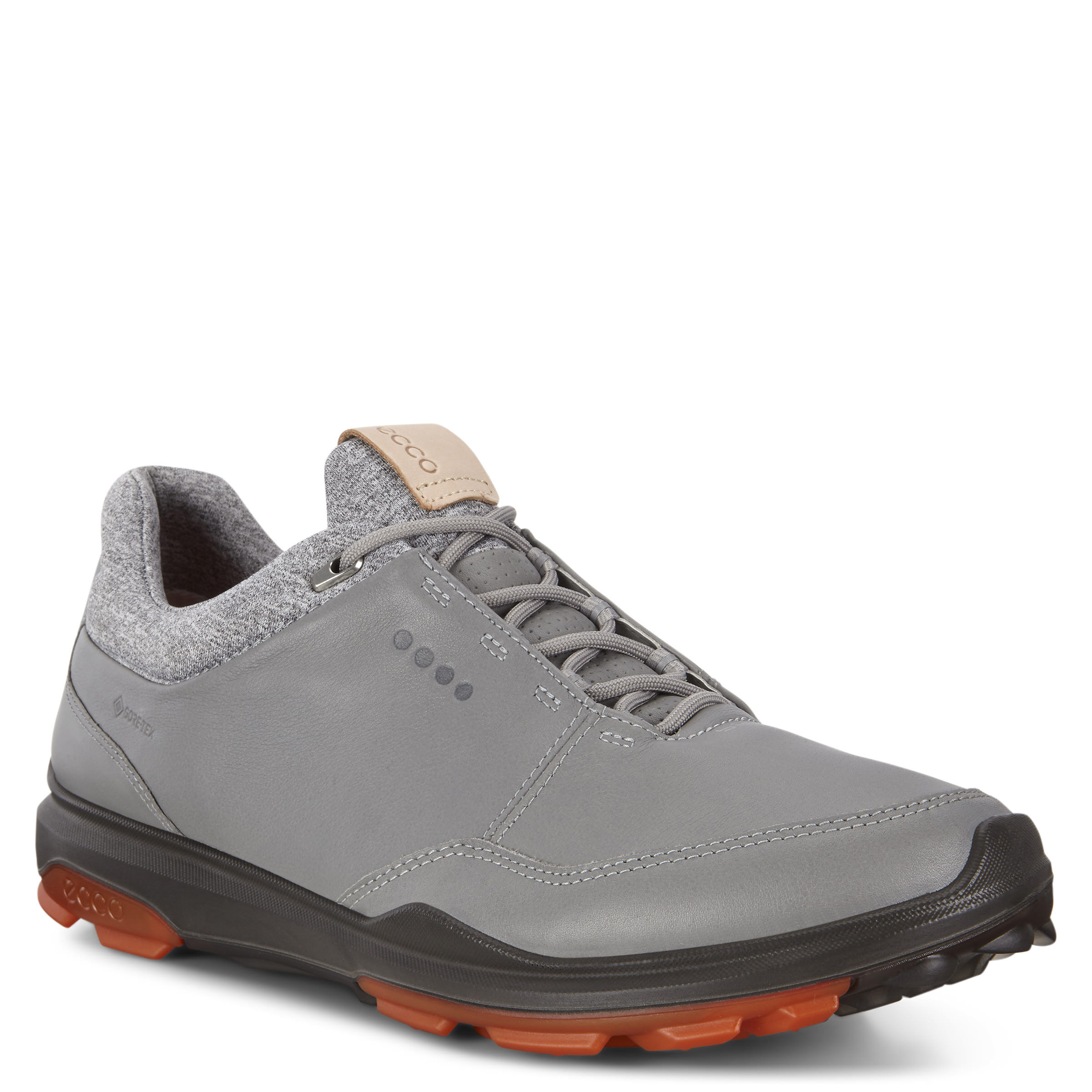 ECCO Men's Biom Hybrid 3 Gore-TEX Golf Shoe, Wild Dove/Fire Yak, 40EU ...